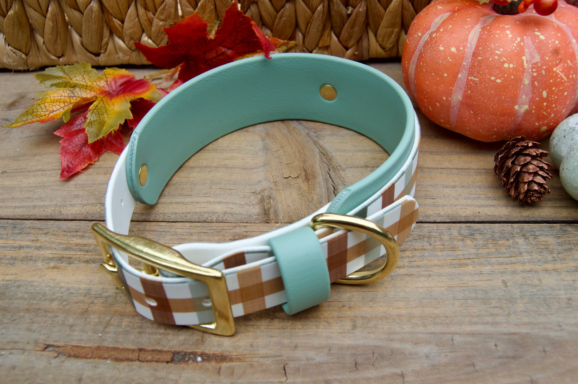 Dog collar with plaid pattern and gold accents on a wooden surface with fall decorations.