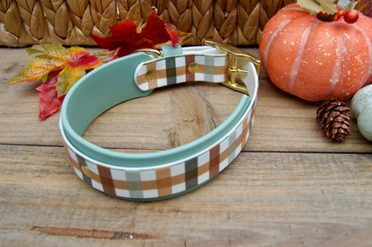 Plaid dog collar with a Sage green band on a wooden surface with autumn decorations.