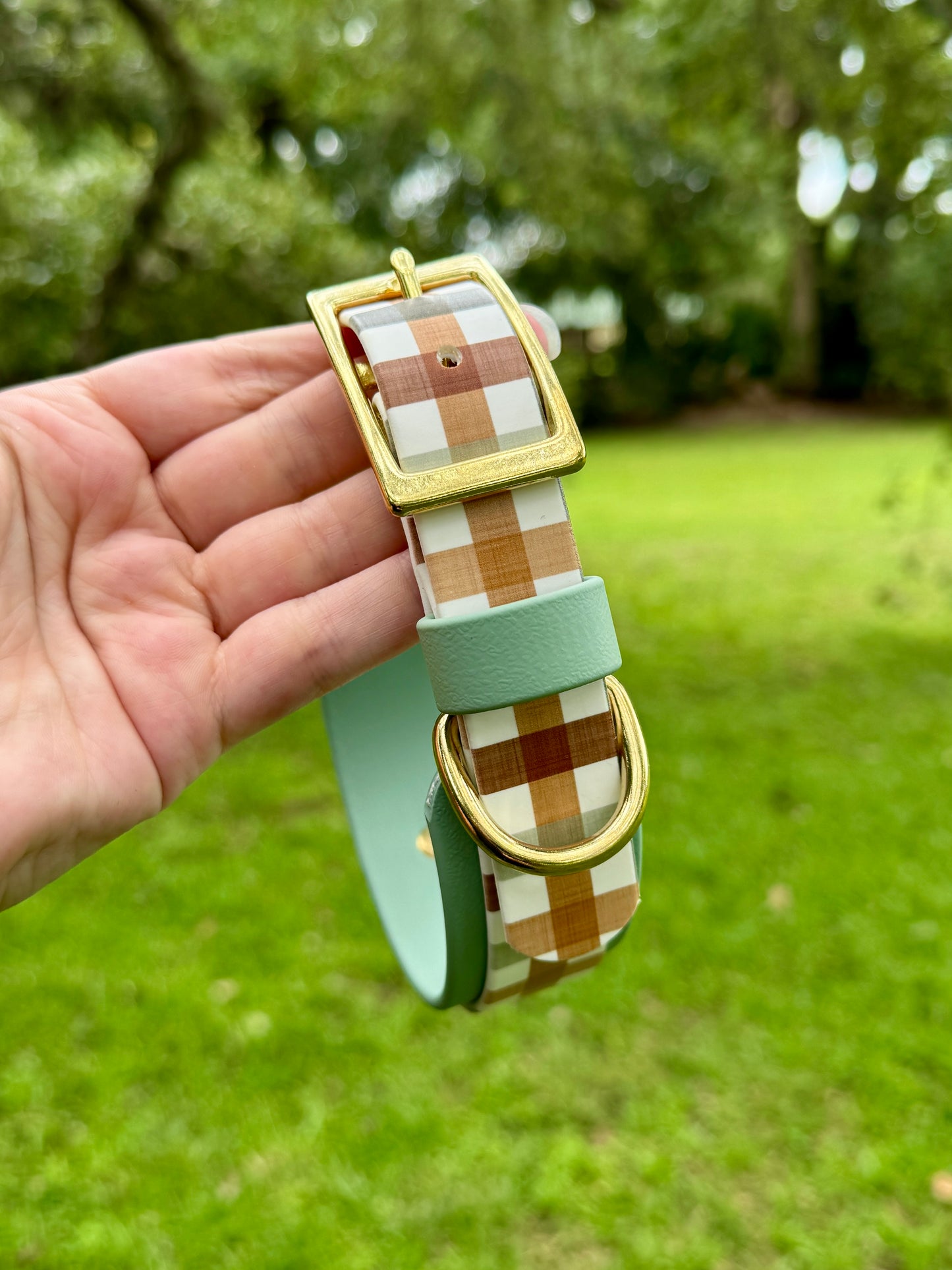 Checkered dog collar with gold buckle held by a hand against a green outdoor background