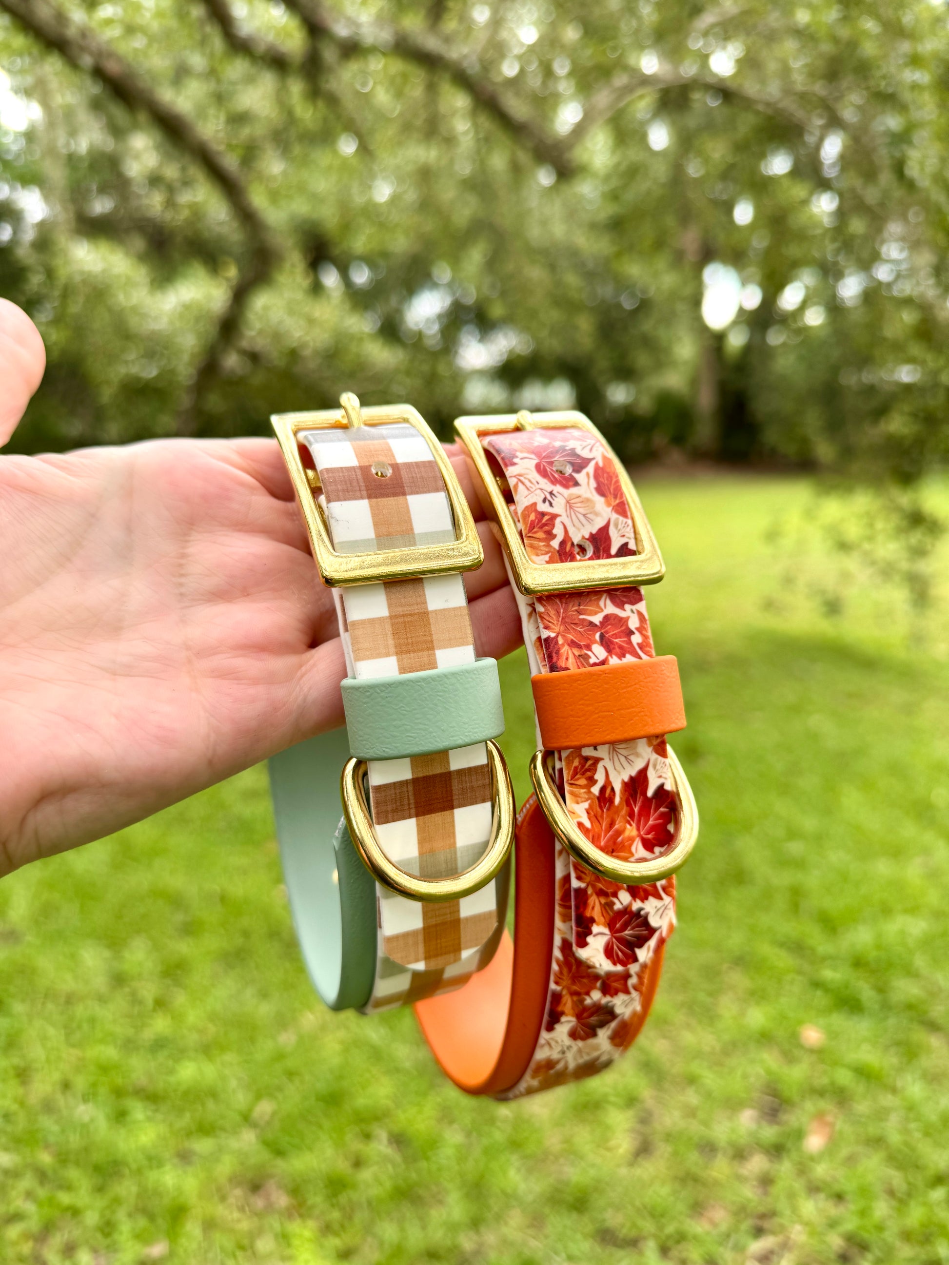 Two dog collars, Fall Plaid and Fall Leaves, held by a hand with a blurred green outdoor background