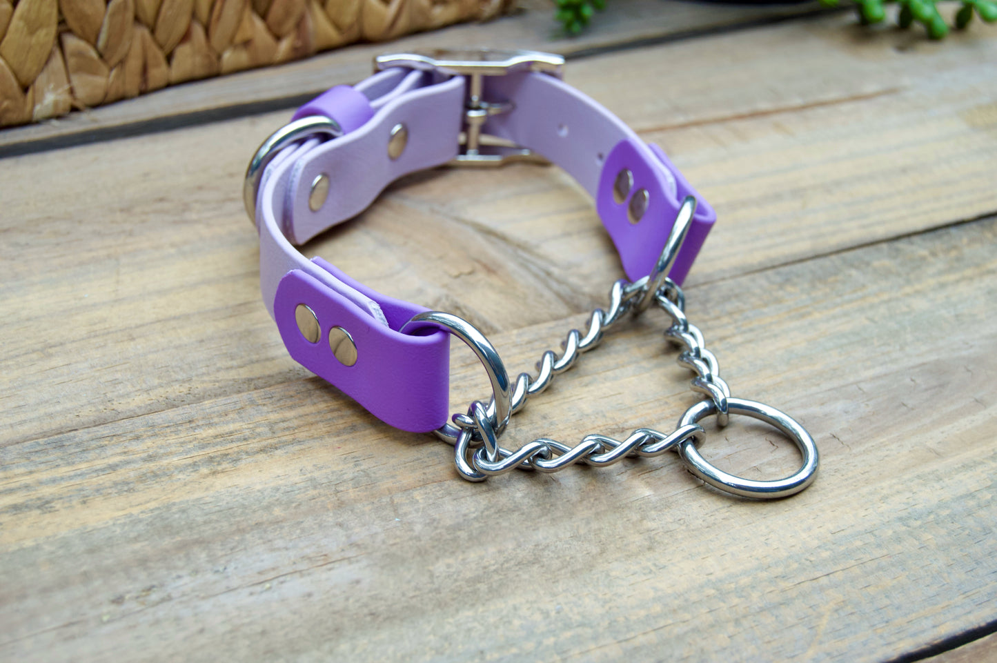 Bundle of Two Color Accent Chain Martingale Biothane Dog Collar and Leash