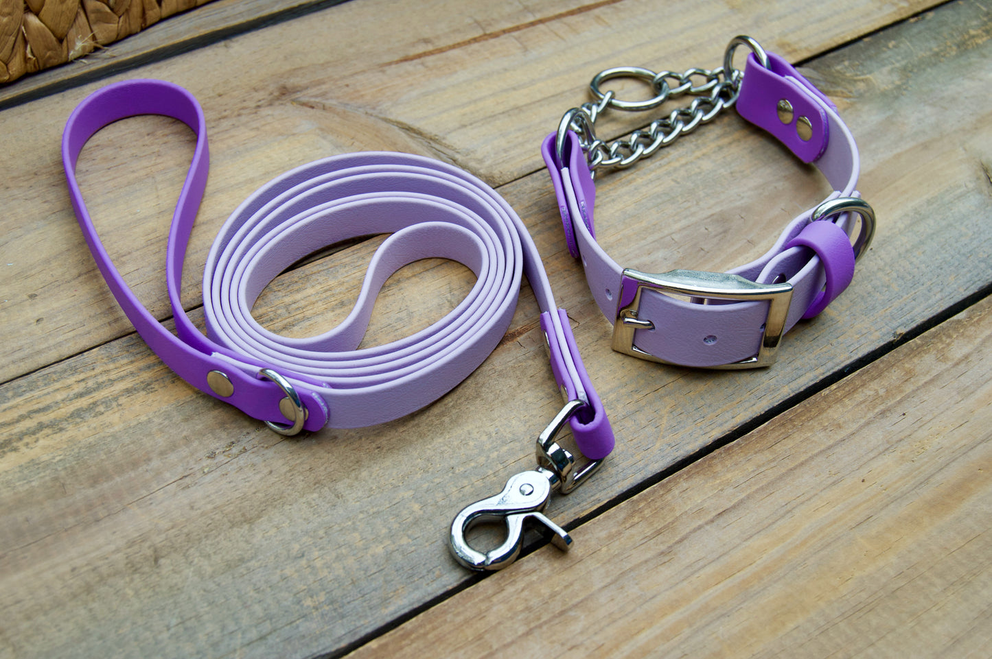 Bundle of Two Color Accent Chain Martingale Biothane Dog Collar and Leash
