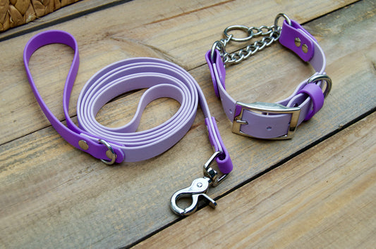 Bundle of Two Color Accent Chain Martingale Biothane Dog Collar and Leash