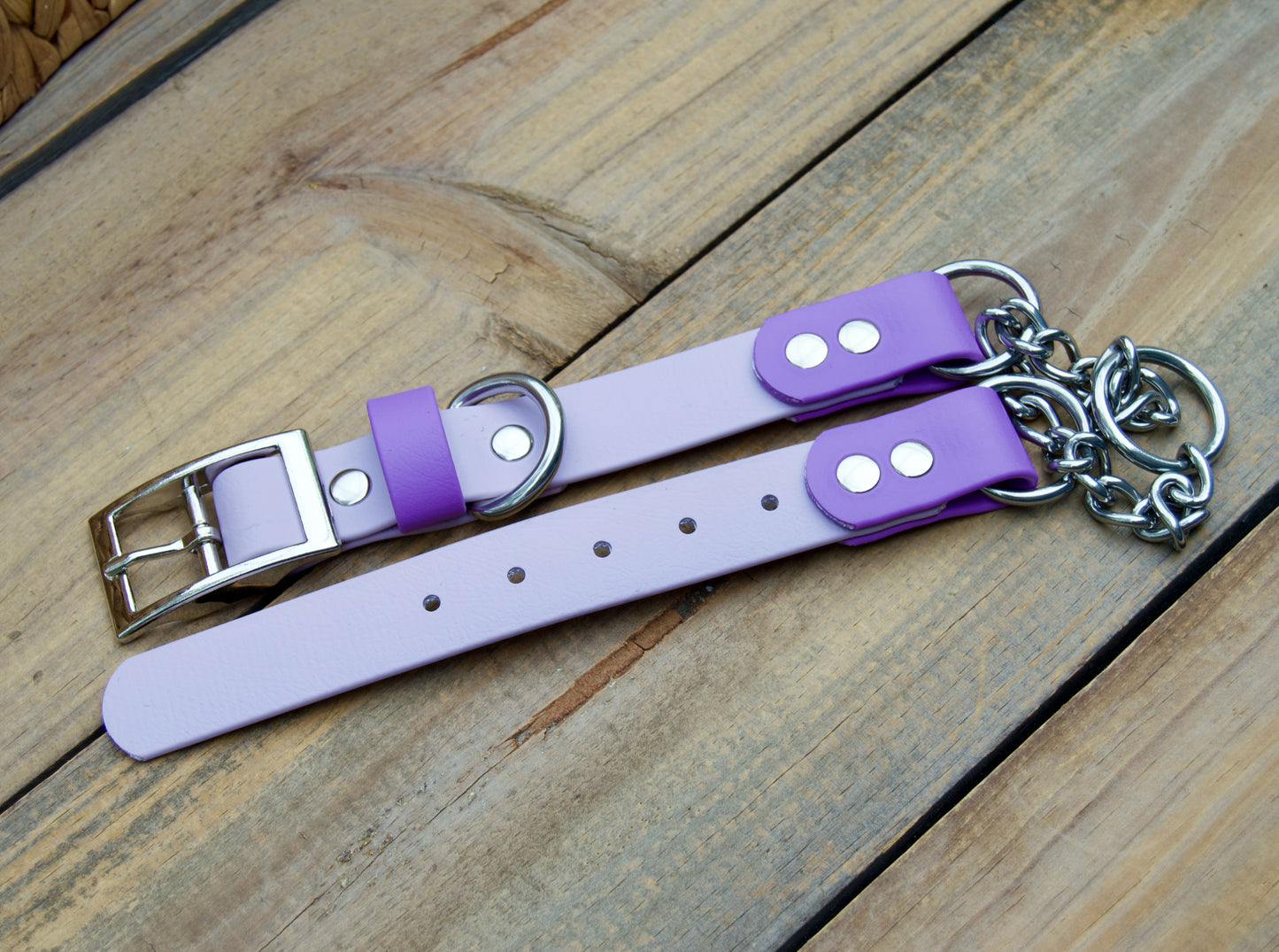 Bundle of Two Color Accent Chain Martingale Biothane Dog Collar and Leash