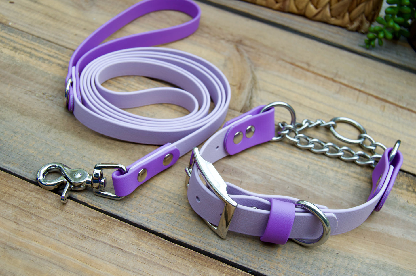Bundle of Two Color Accent Chain Martingale Biothane Dog Collar and Leash