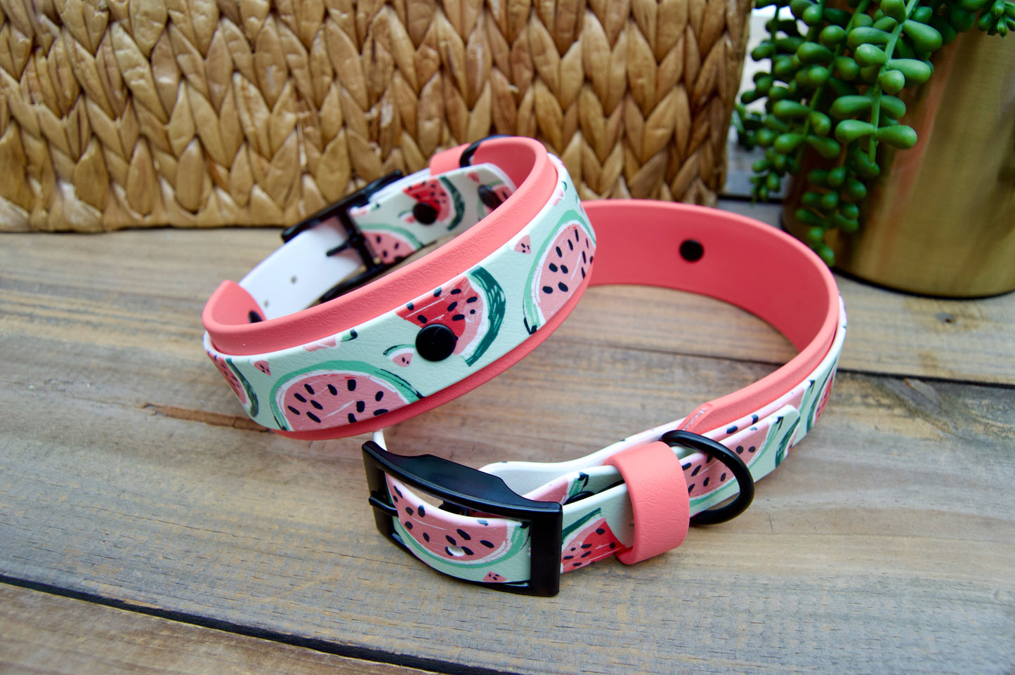 Watermelon: Printed Double Layer Biothane Dog Collar