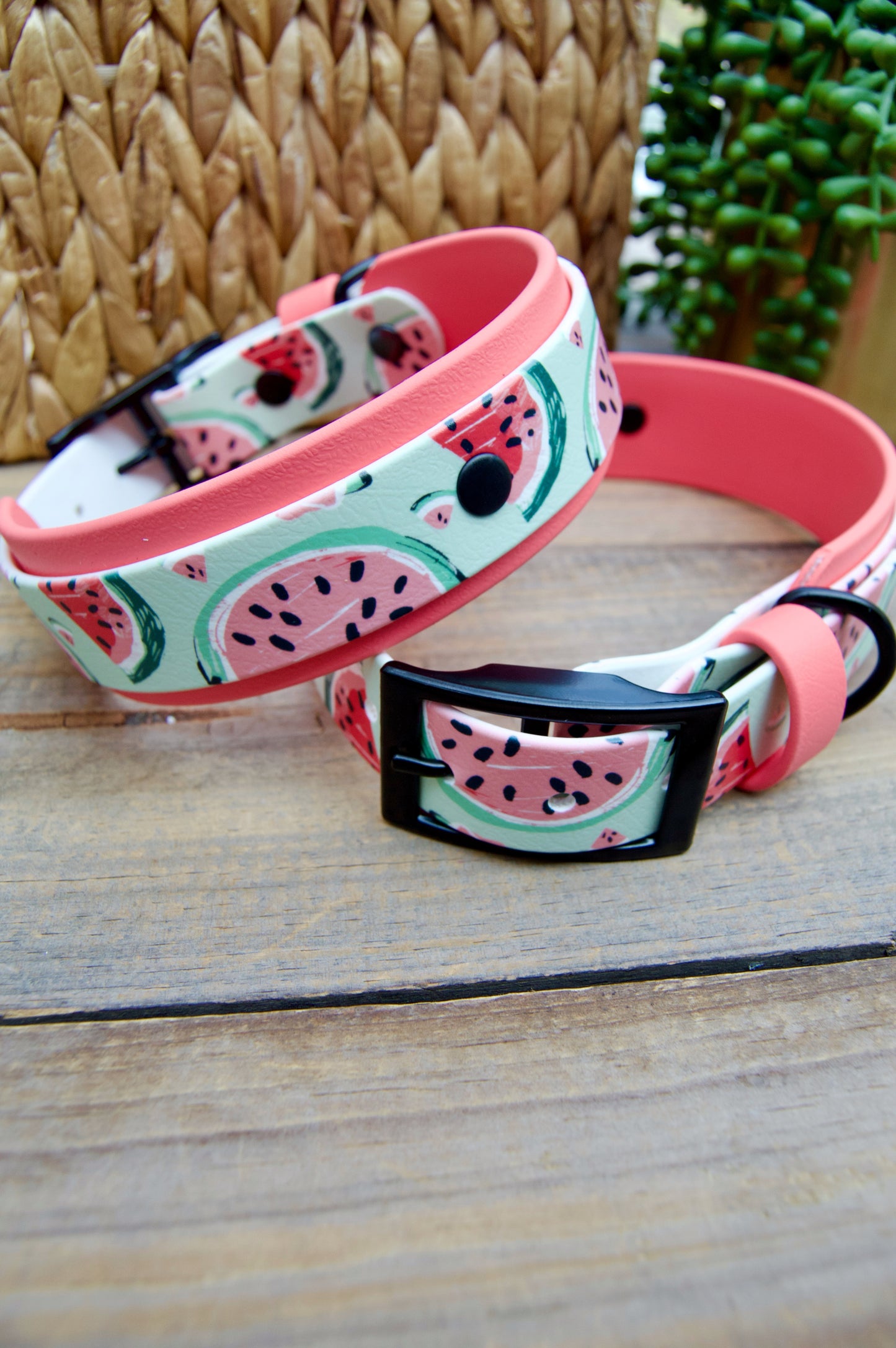 Watermelon: Printed Double Layer Biothane Dog Collar