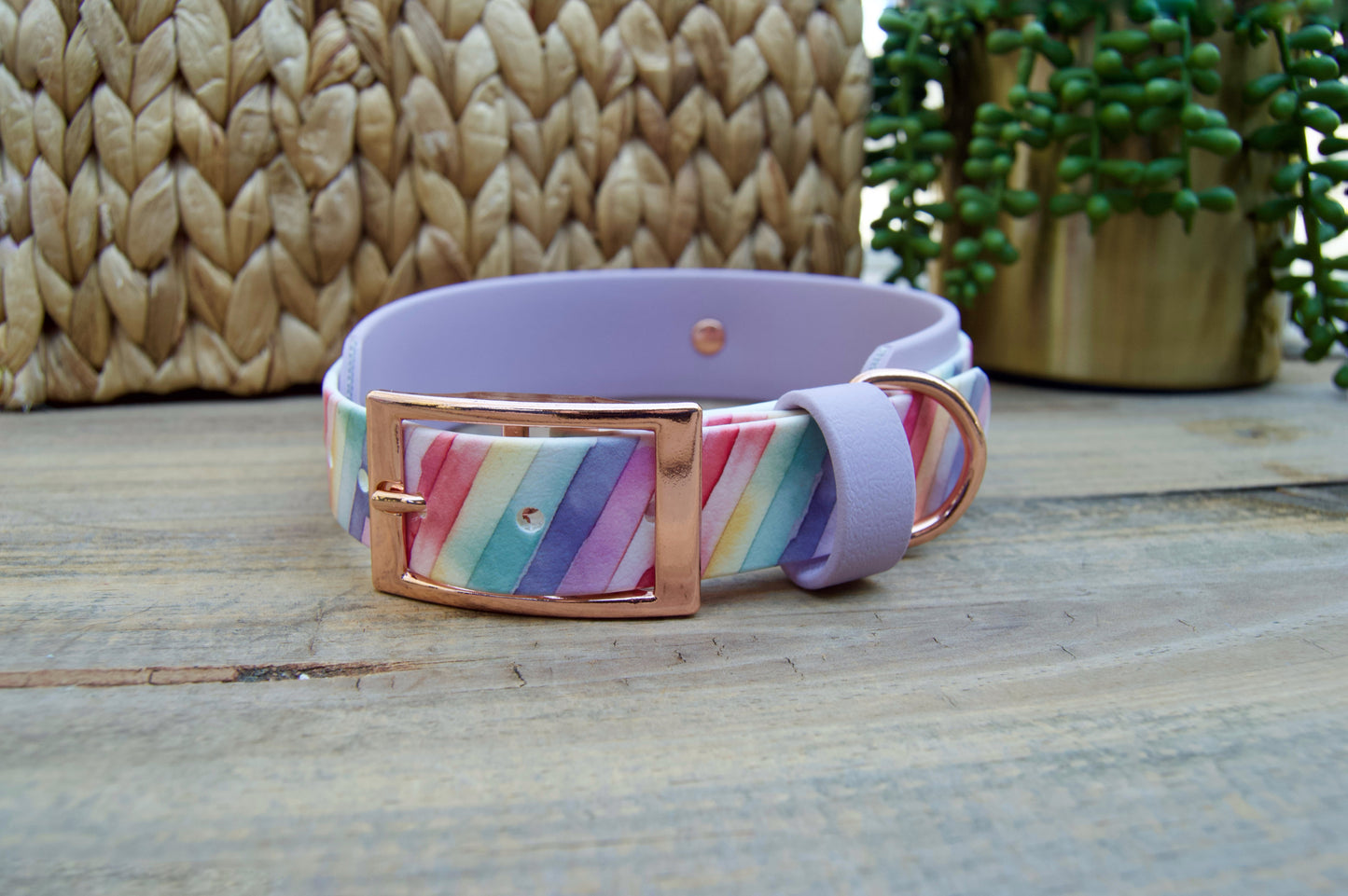 Stripes: Printed Double Layer Biothane Dog Collar