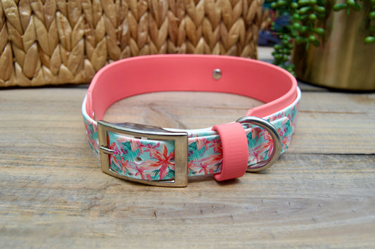 Closeout: Island Printed Double Layer Biothane Dog Collar