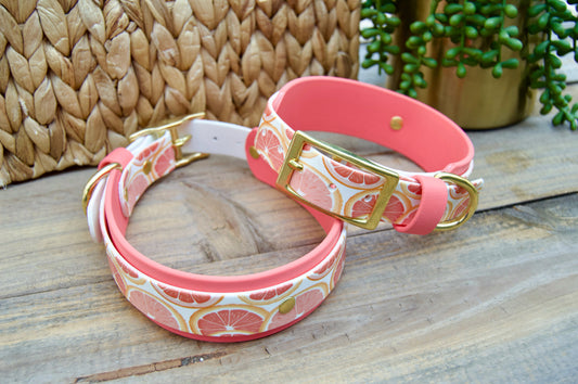 Grapefruit: Printed Double Layer Biothane Dog Collar
