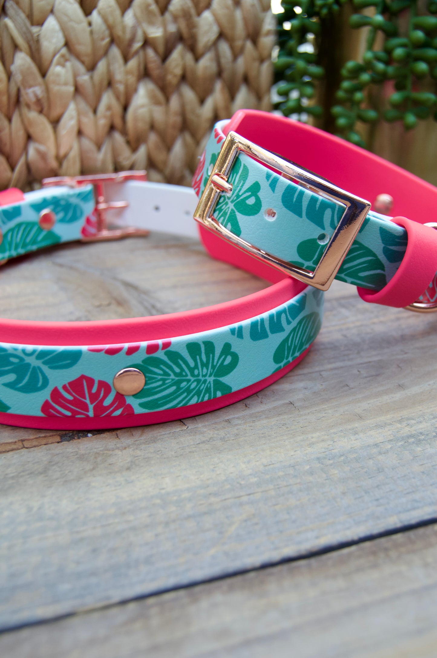Monstera: Printed Double Layer Biothane Dog Collar