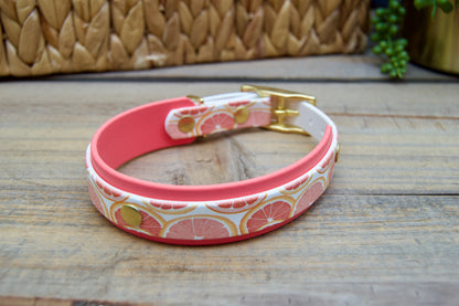 Grapefruit: Mini Printed Double Layer Biothane Dog Collar