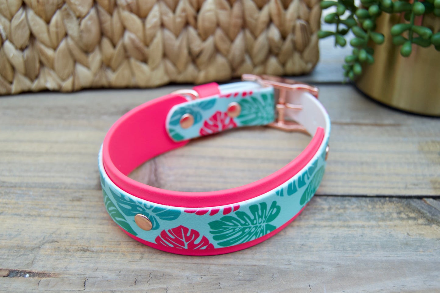 Monstera: Printed Double Layer Biothane Dog Collar