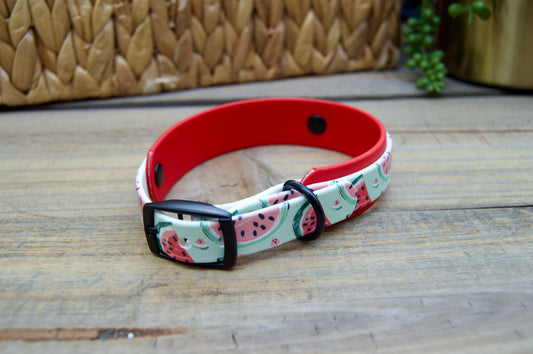 Watermelon: Mini Printed Double Layer Biothane Dog Collar