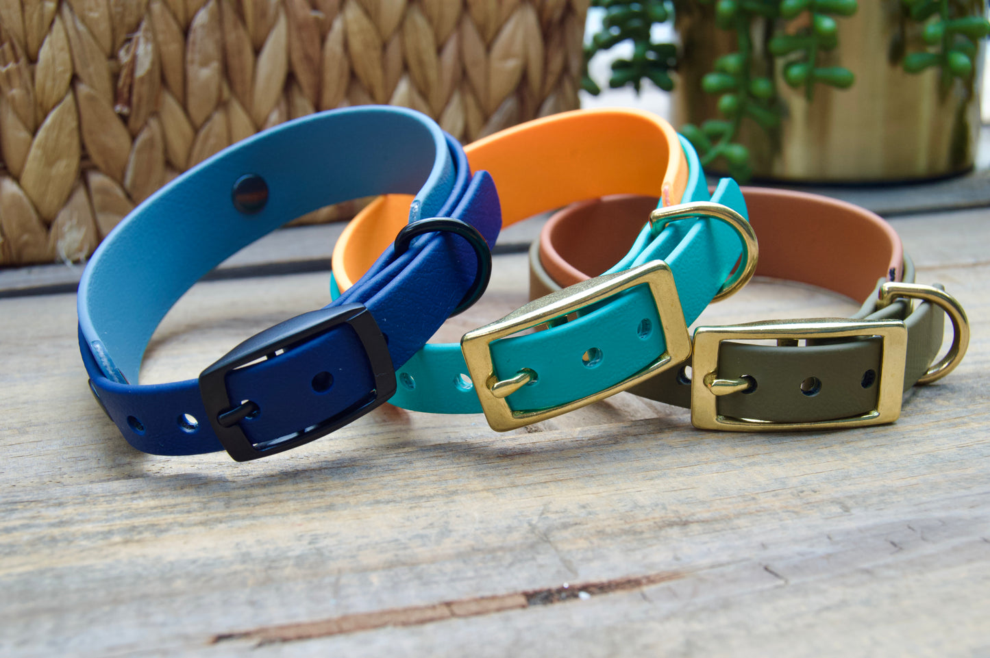 Bundle of Mini Double Layer Biothane Dog Collar and Leash
