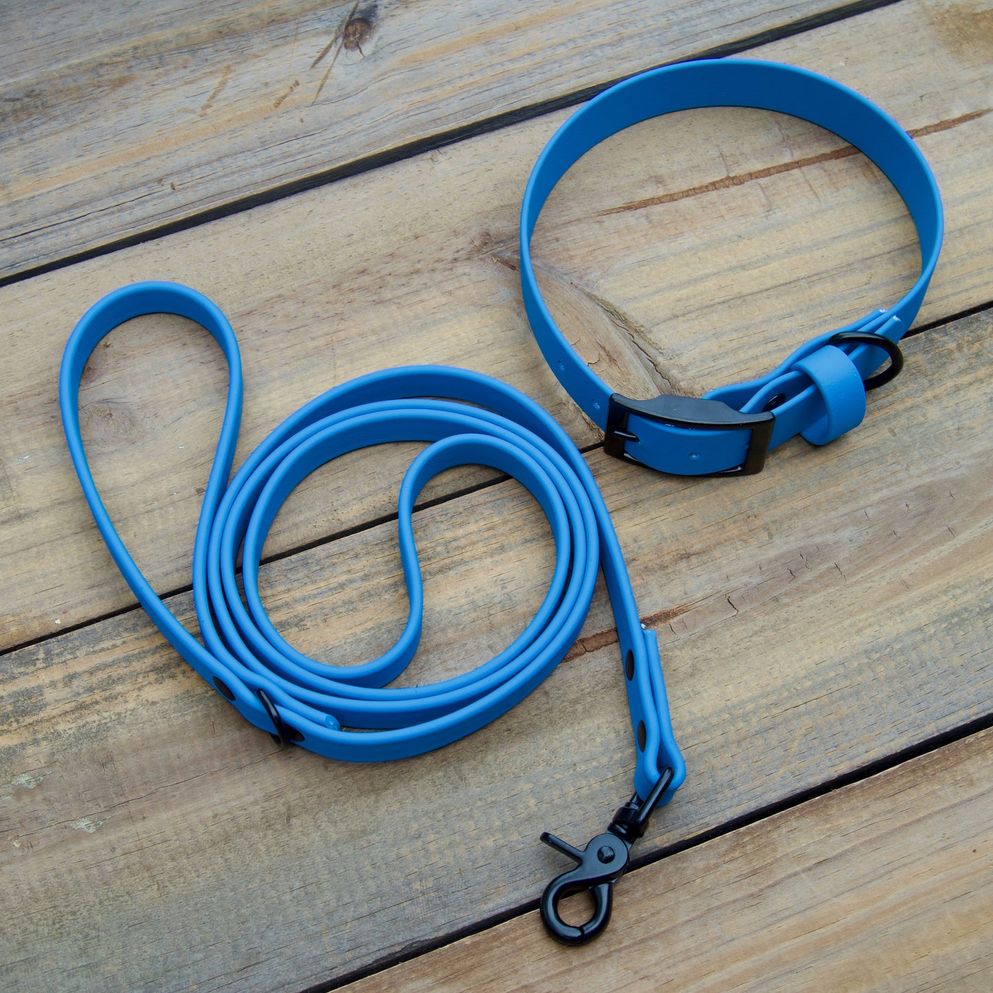 Bundle of Classic 1 Inch Biothane Dog Collar and 5/8 Inch Leash