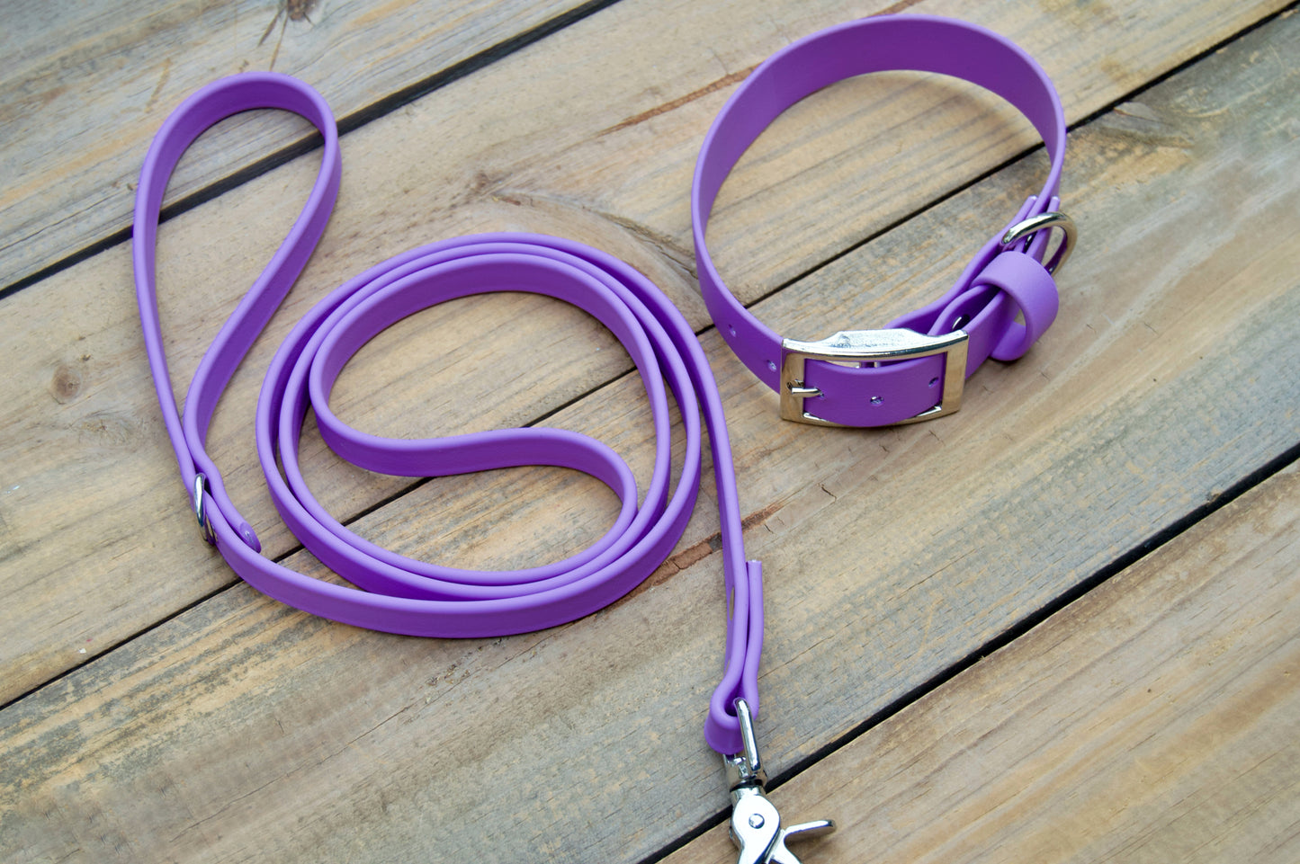 Bundle of Classic 1 Inch Biothane Dog Collar and 5/8 Inch Leash