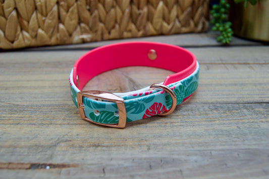 Monstera: Mini Printed Double Layer Biothane Dog Collar