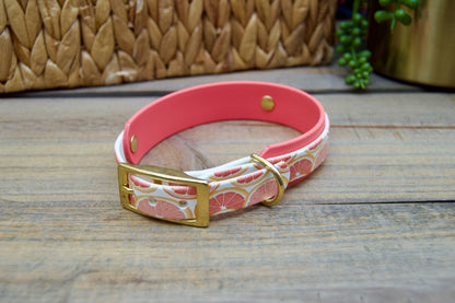 Grapefruit: Mini Printed Double Layer Biothane Dog Collar