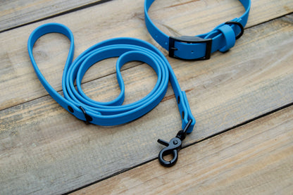 Bundle of Classic 1 Inch Biothane Dog Collar and 5/8 Inch Leash