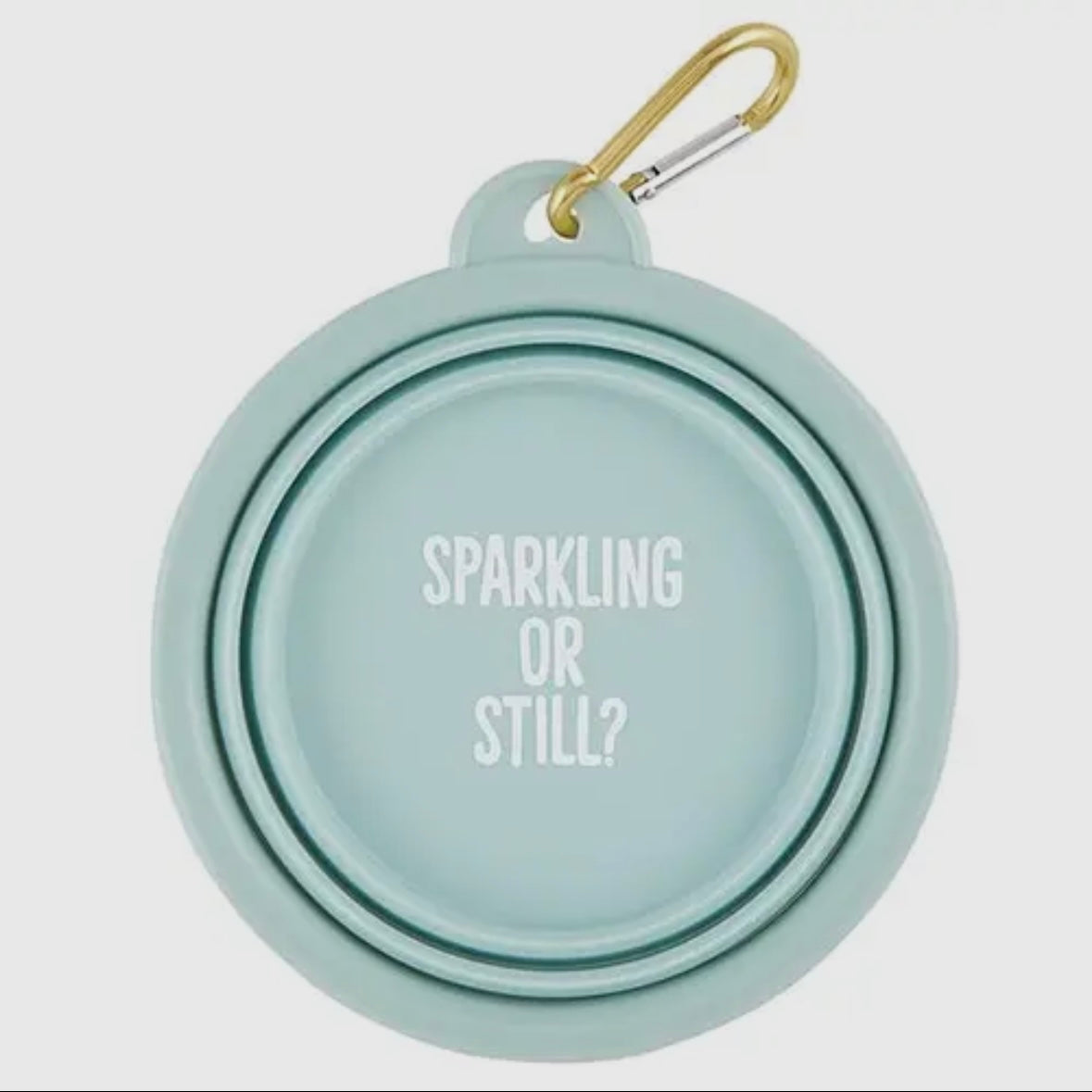 Collapsible Travel Dog Bowl