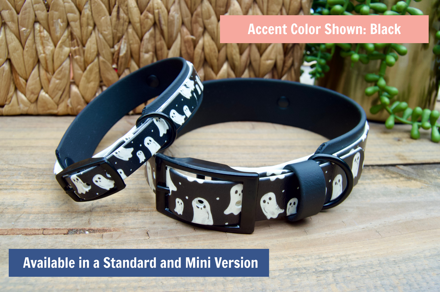 mini and standard version of Black dog collar with ghost pattern on a wooden surface