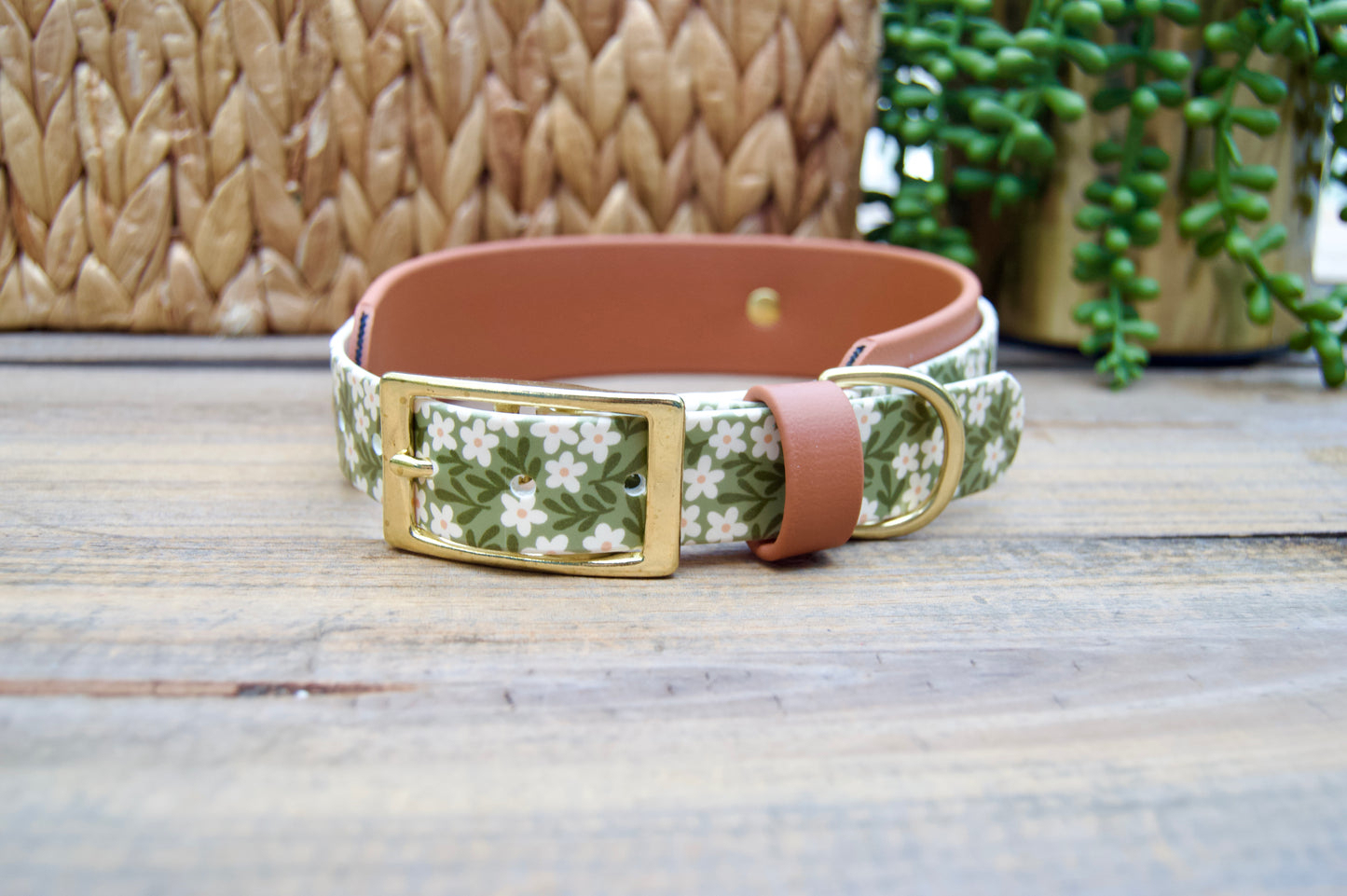Dog collar with floral pattern and brown biothane accent on a wooden surface