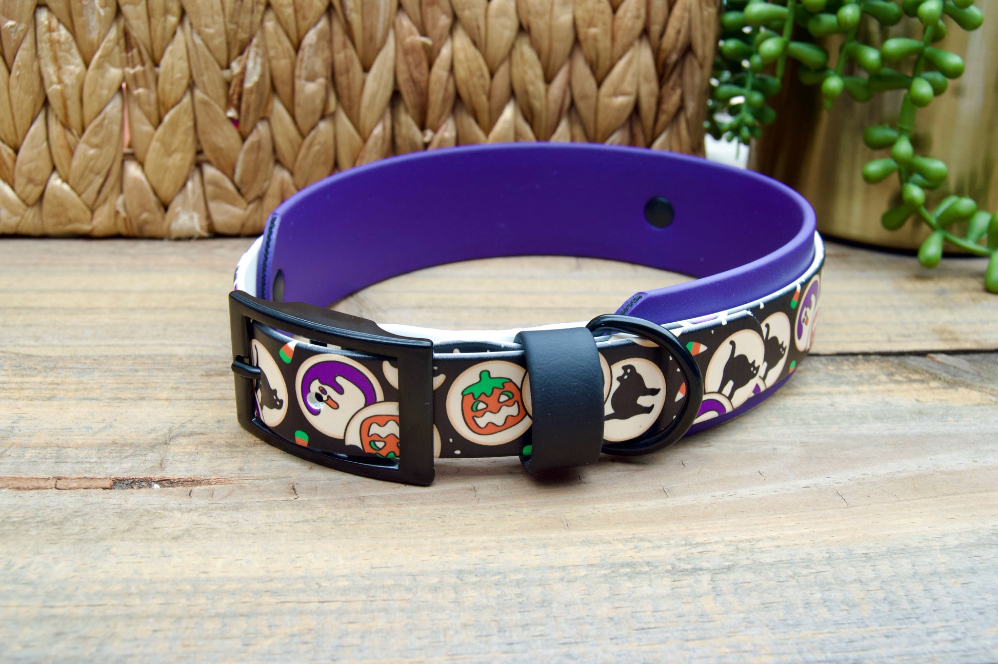 Halloween cookies patterned dog collar with purple band on a wooden surface