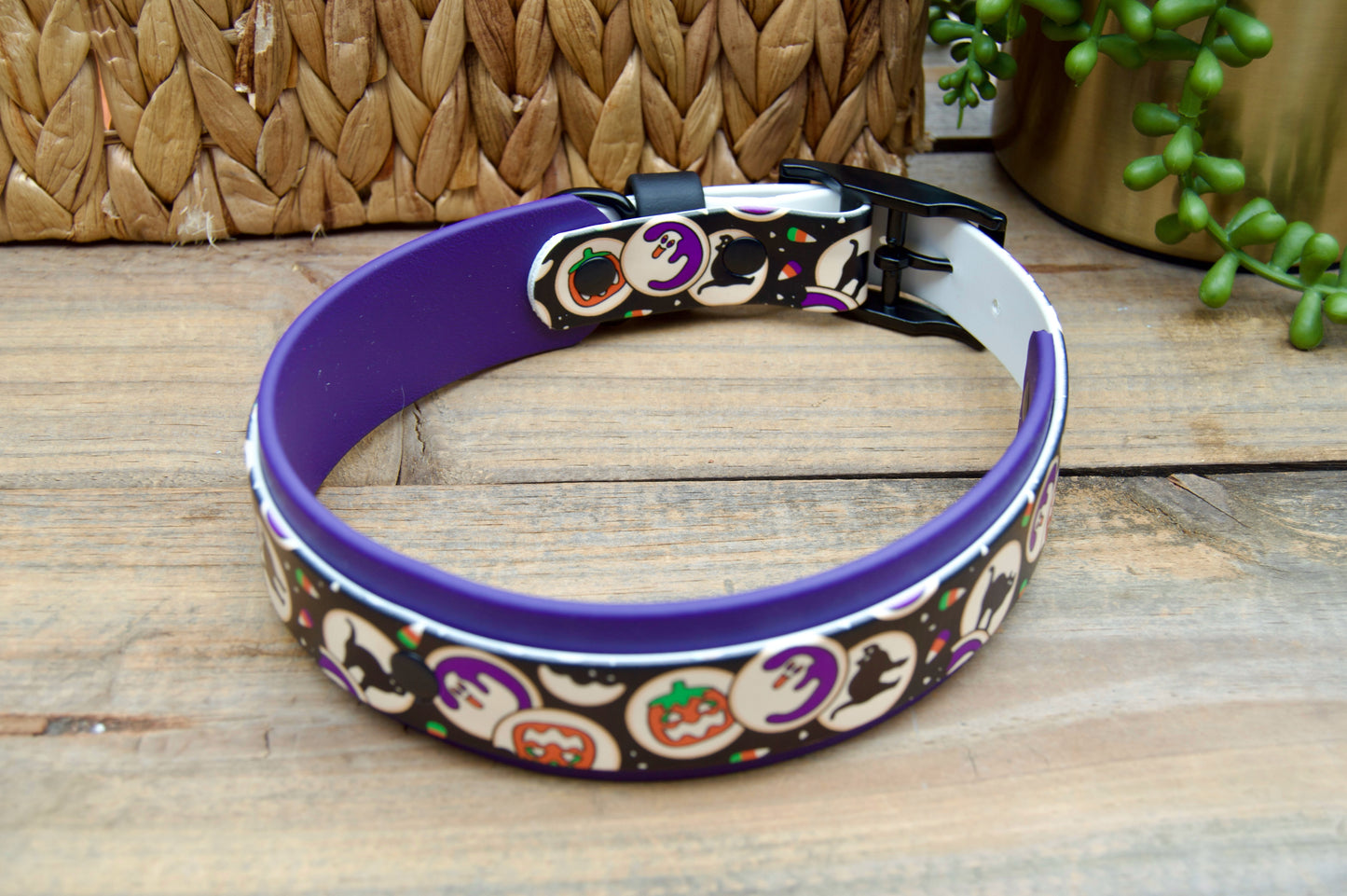 Halloween cookies patterend biothane dog collar with purple accents on a wooden surface.