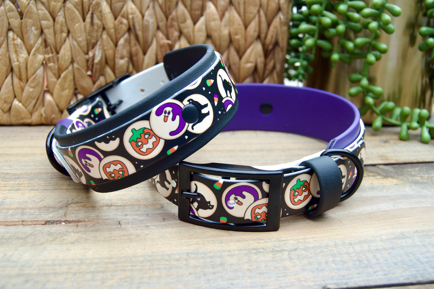 Two Halloween cookie patterned dog collars stacked on a wooden surface