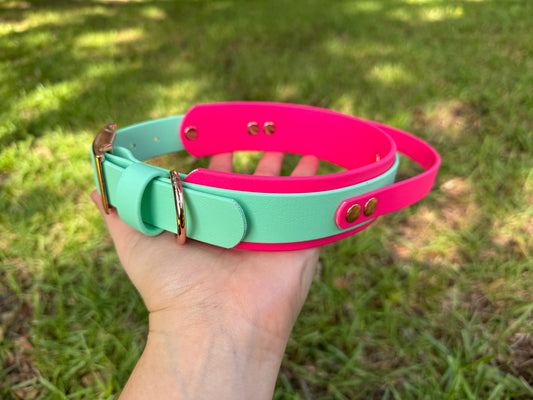 RTS 16-19 INCH Mint Green and Raspberry Sport Handle Biothane Dog Collar