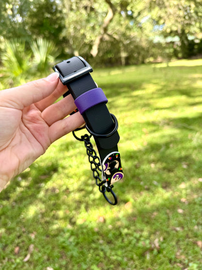 SCRAP SALE: Accent Biothane Chain Martingale