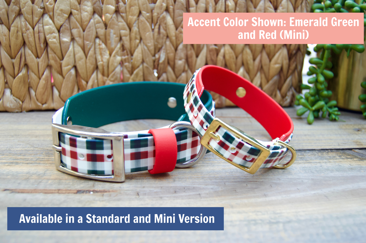 Winter Plaid: Mini Printed Double Layer Biothane Dog Collar