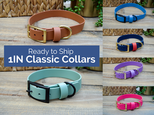 RTS 1 Inch Classic Biothane Dog Collar