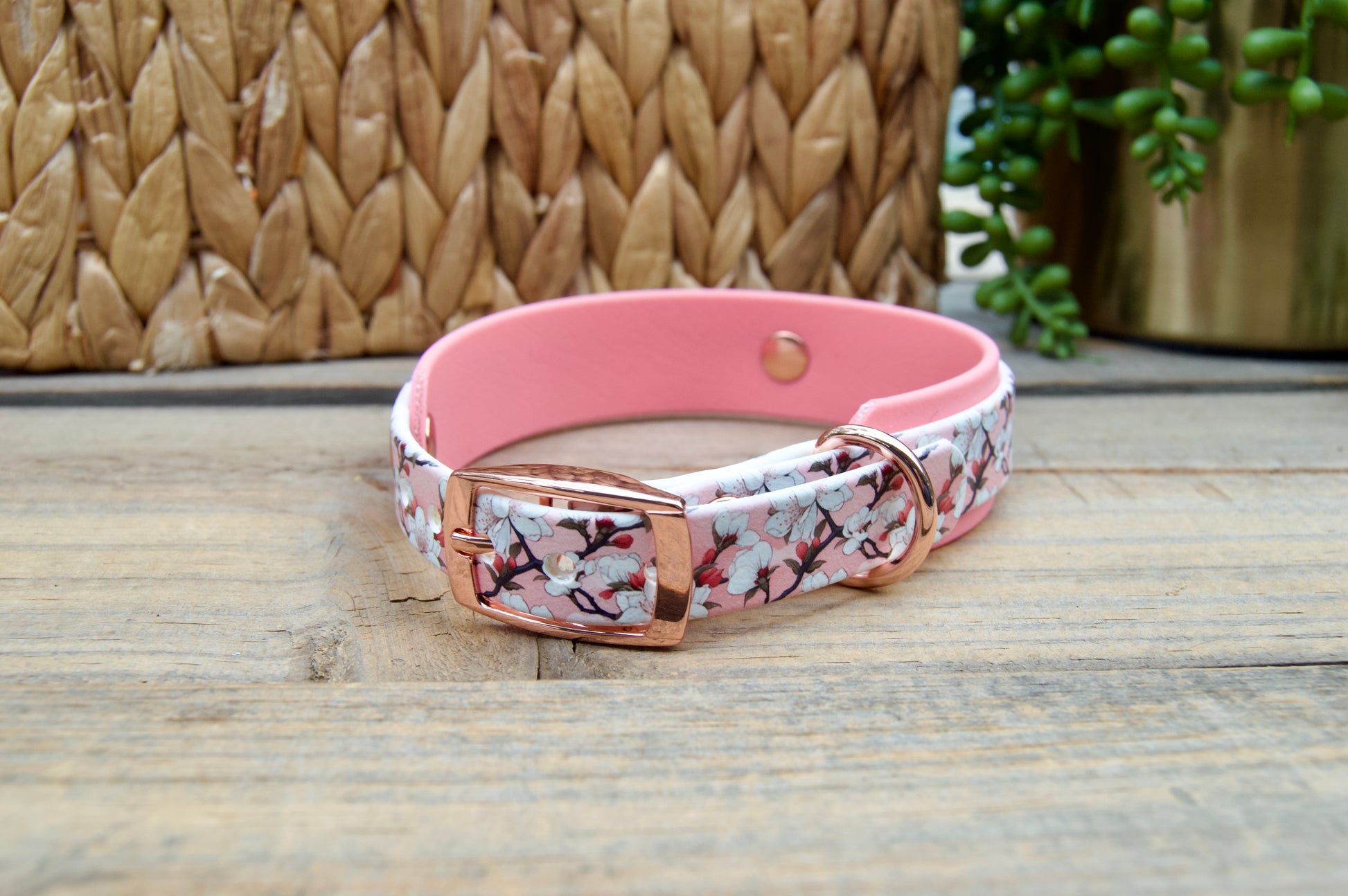 cherry blossom patterned biothane dog collar with pastel pink accents on a wooden surface