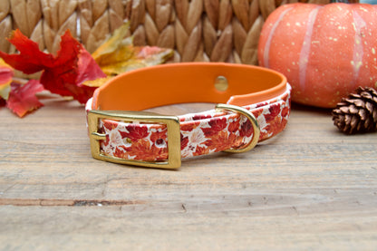 Fall Leaves dog collar with burnt orange band on a wooden surface with autumn decorations.