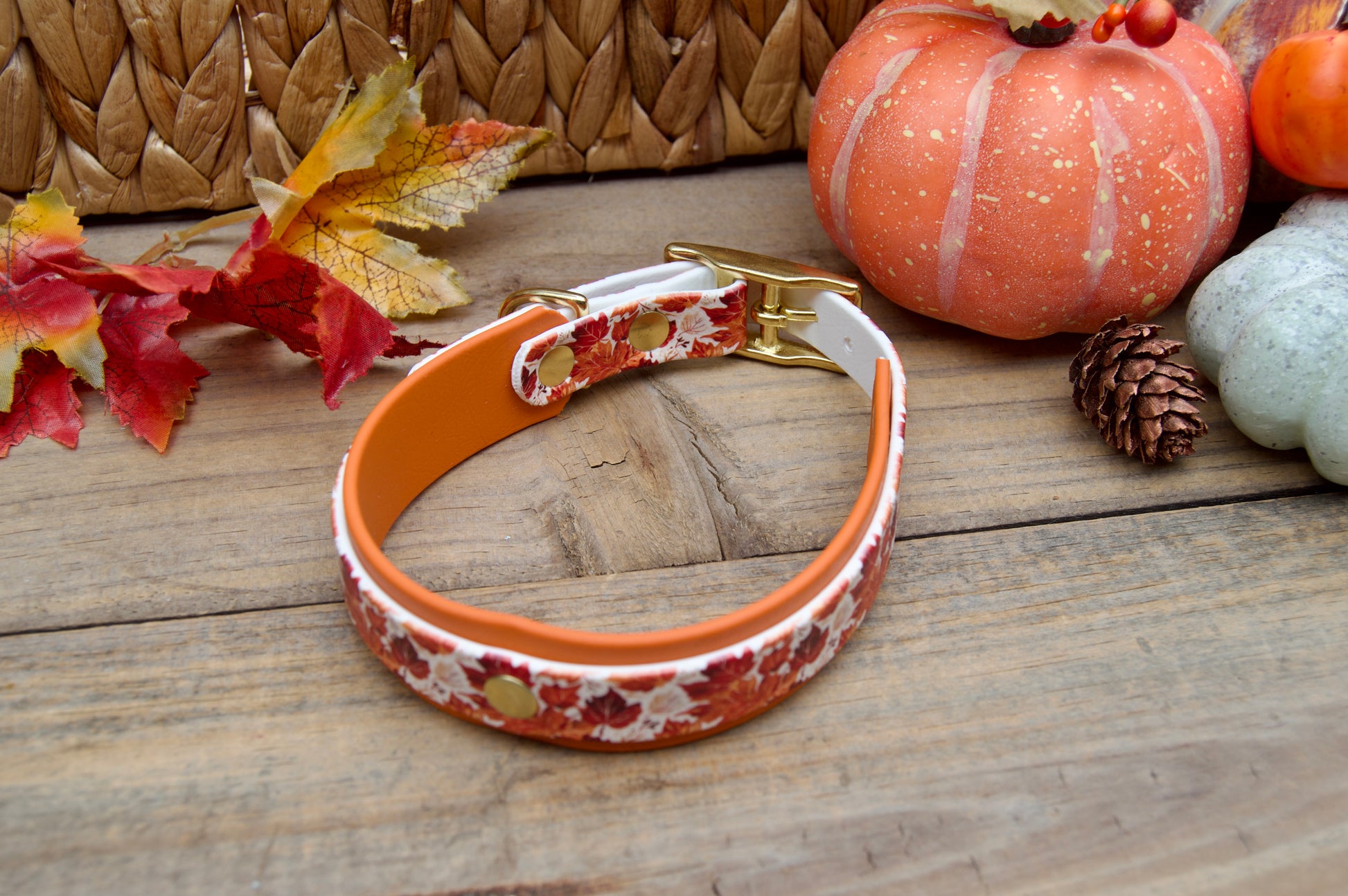 Dog collar with fall leaves pattern on a wooden surface with pumpkins and leaves decoration 