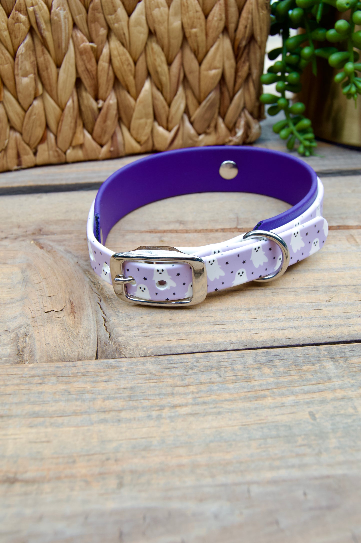 Dog collar with purple and white pattern on a wooden surface