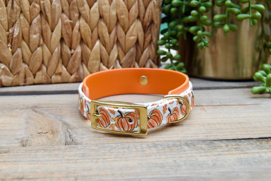 Dog collar with orange  pumpkin pattern and gold buckle on a wooden surface