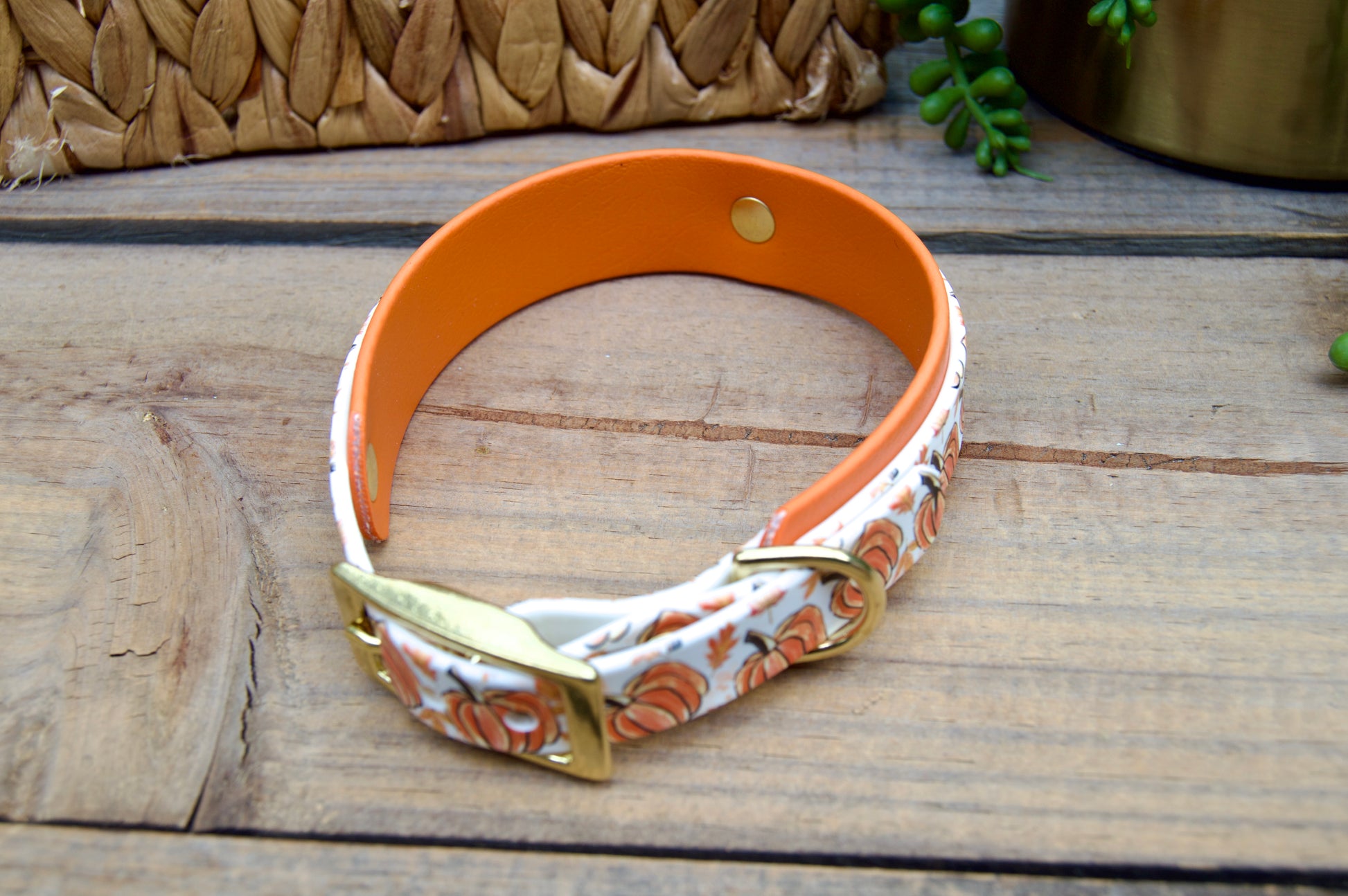 Dog collar with pumpkin pattern and orange band on a wooden surface