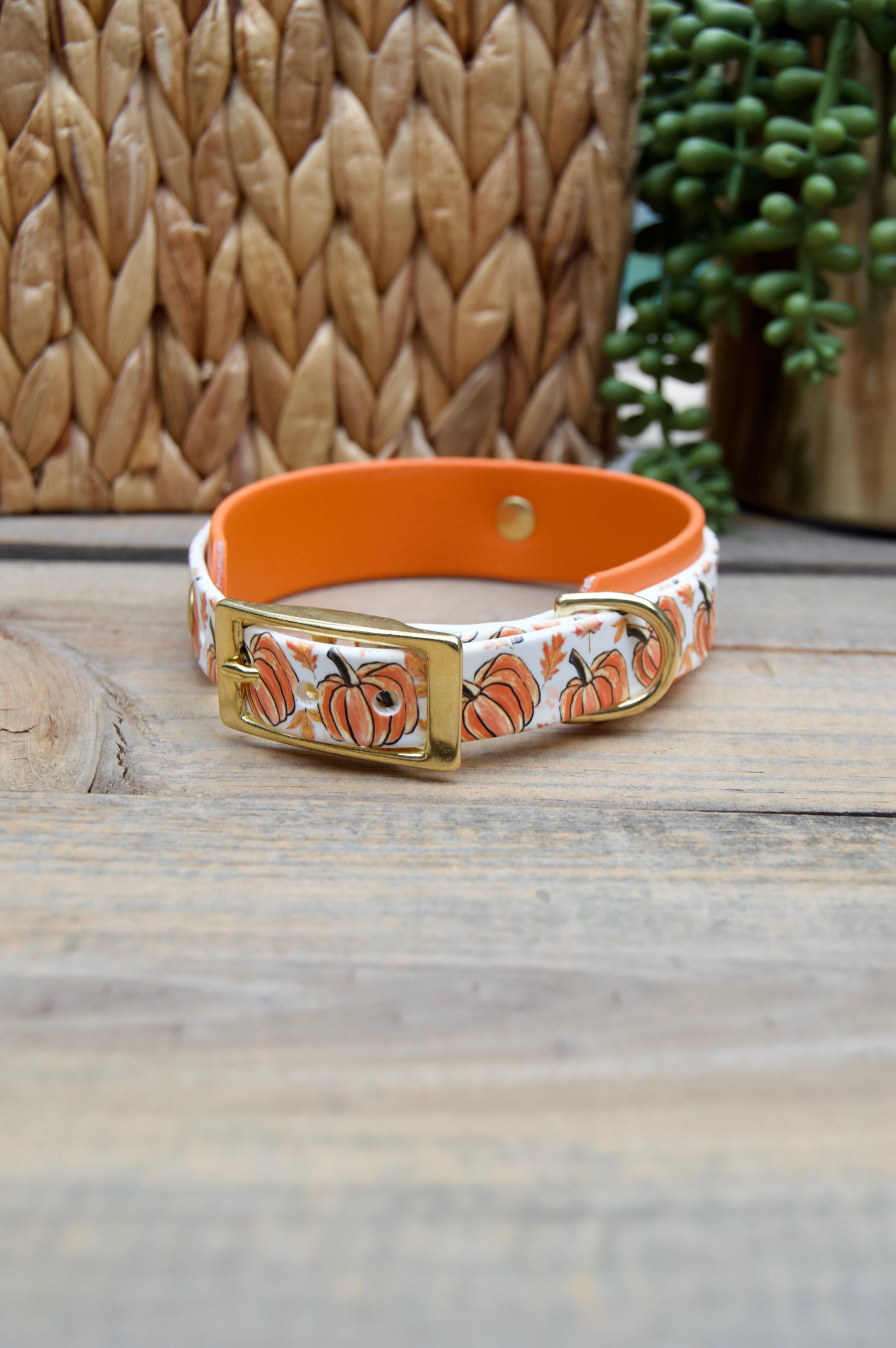 Dog collar with pumpkin pattern on a wooden surface