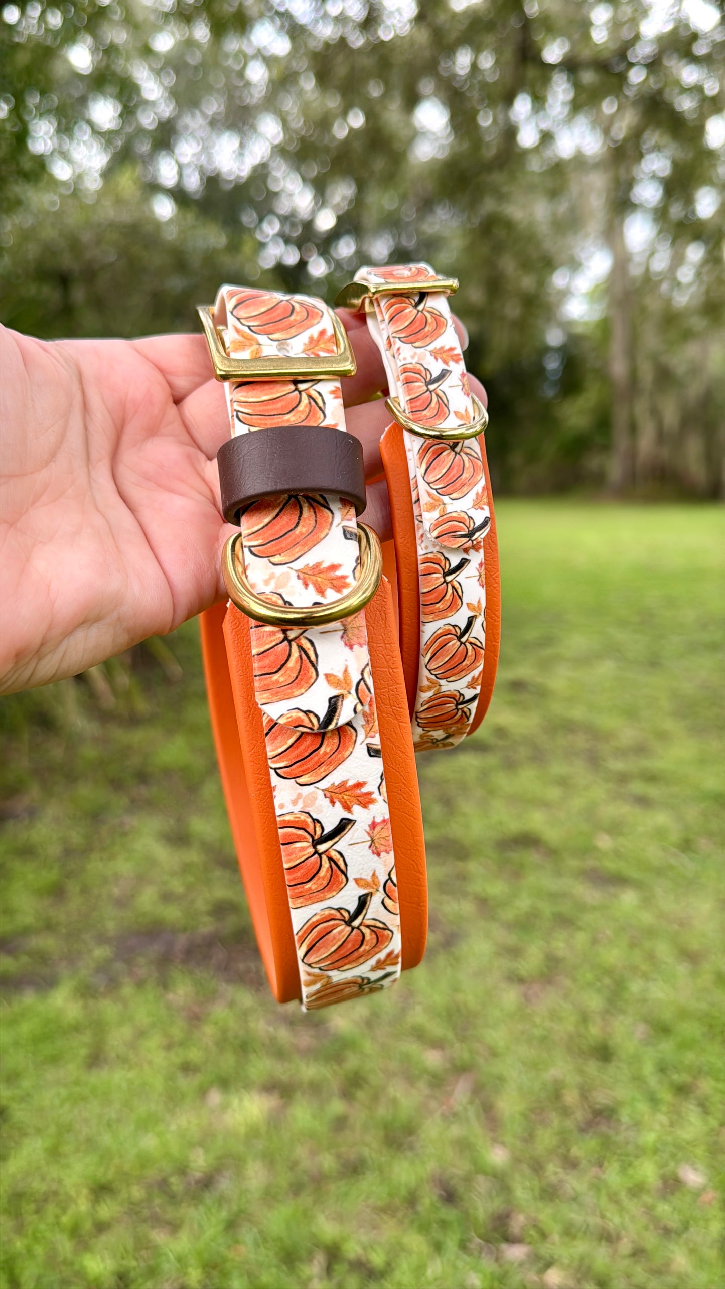 Two dog collars with pumpkin pattern held by a hand against a blurred natural background