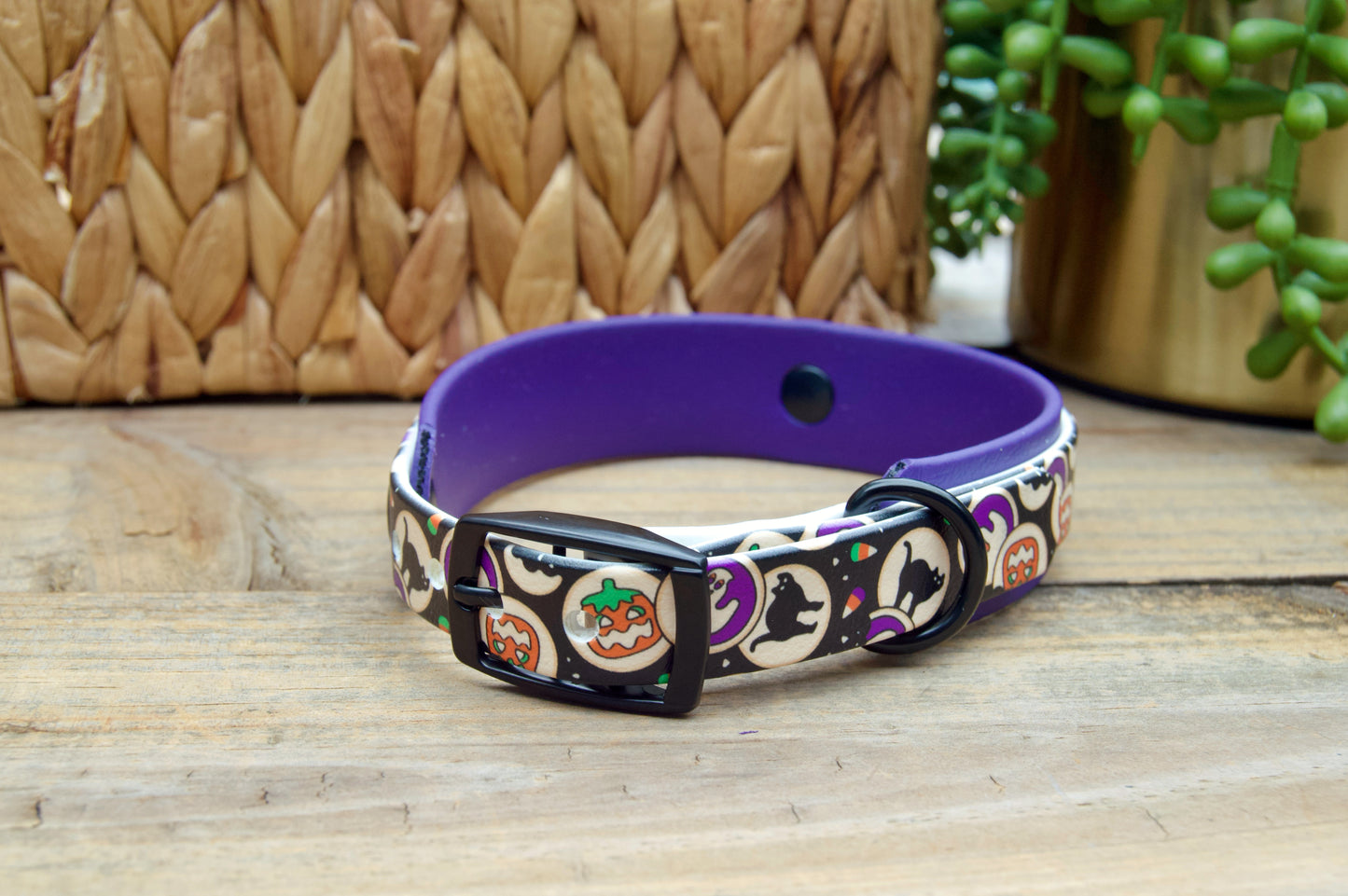 dog collar with Halloween cookie design on a wooden surface