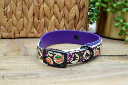 dog collar with Halloween cookie design on a wooden surface