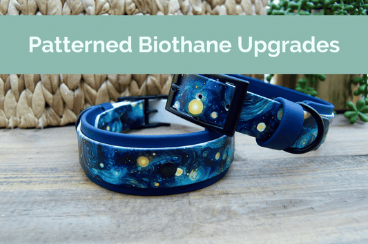Patterned Upgrade for Biothane Dog Collar