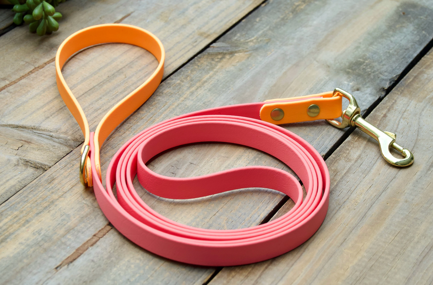 Two Color Biothane Dog Leash