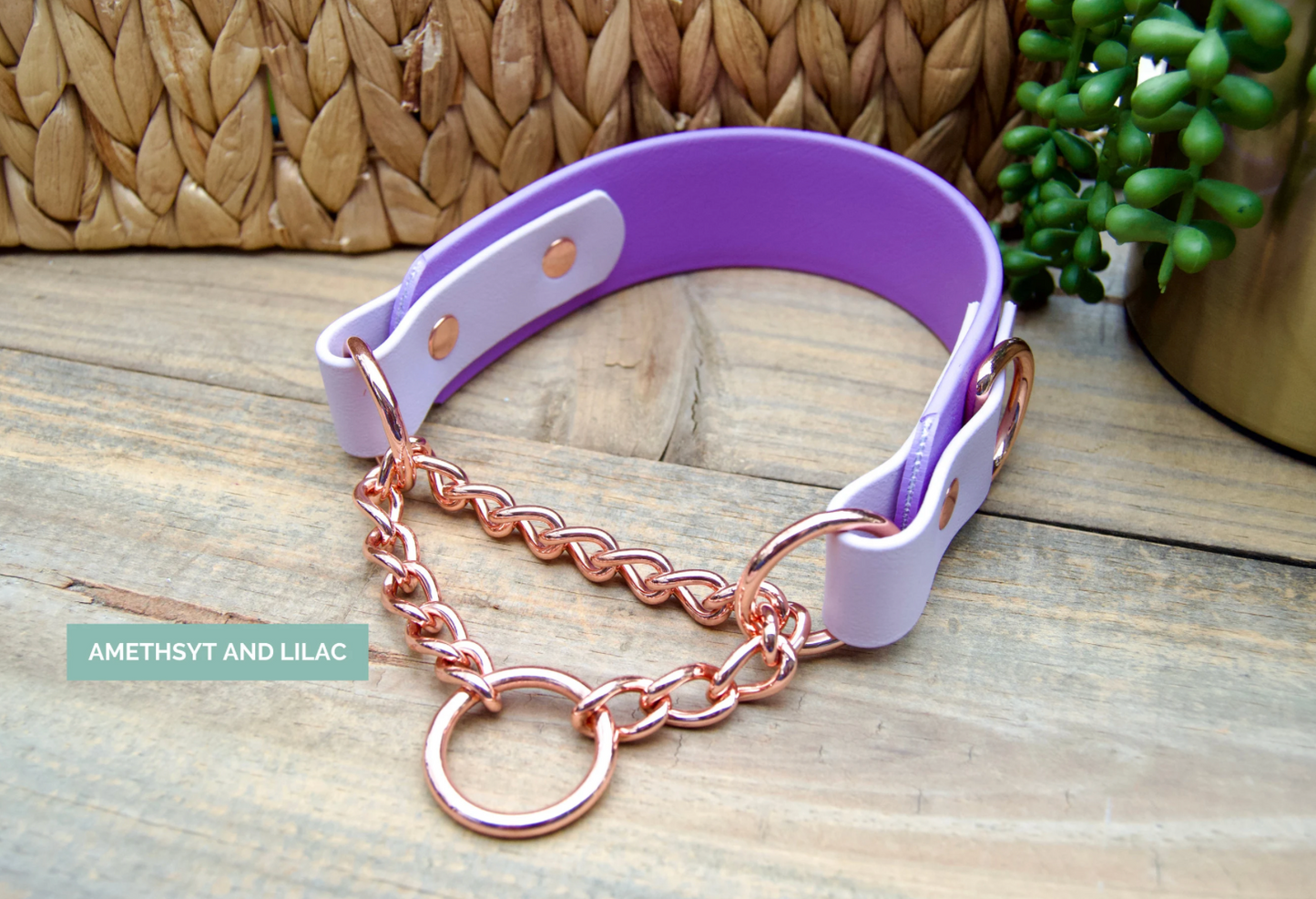 Two Color Tapered Martingale Biothane Dog Collar