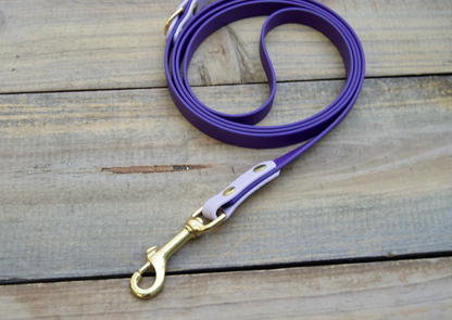 Two Color Biothane Dog Leash