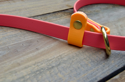 Two Color Slip Leash Biothane Dog Leash