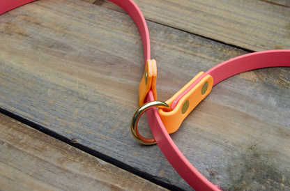 Two Color Slip Leash Biothane Dog Leash